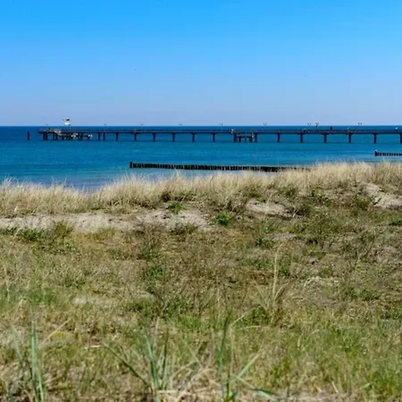 Strandnelke Graal-Mueritz