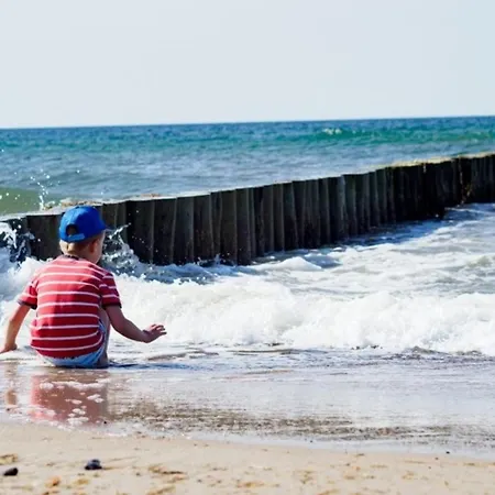 Strandnelke *