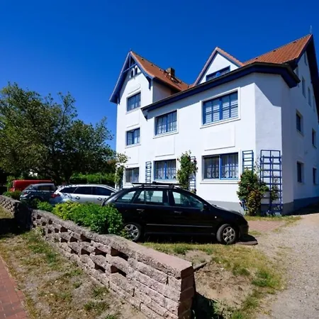 Strandnelke * Graal-Mueritz